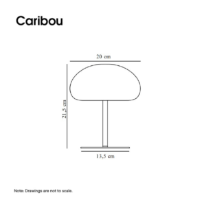 sponge 20 dimensions