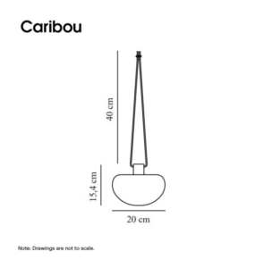 sponge pendant dimensions