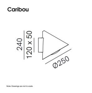 Cone 286.16 dimensions