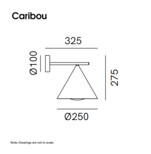 Cone 286.18 dimensions