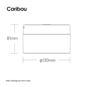 otto ripple dimensions
