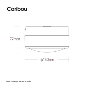 otto smooth dimensions