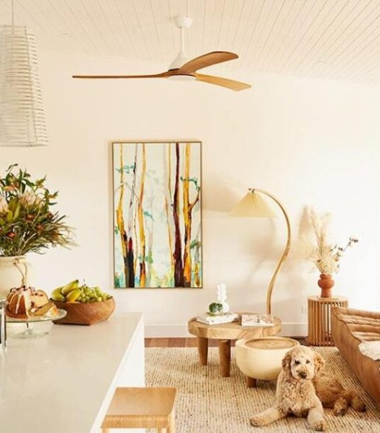 living-room-fans-min-768x576